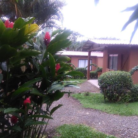 Slow Travel Lodge Upala エクステリア 写真