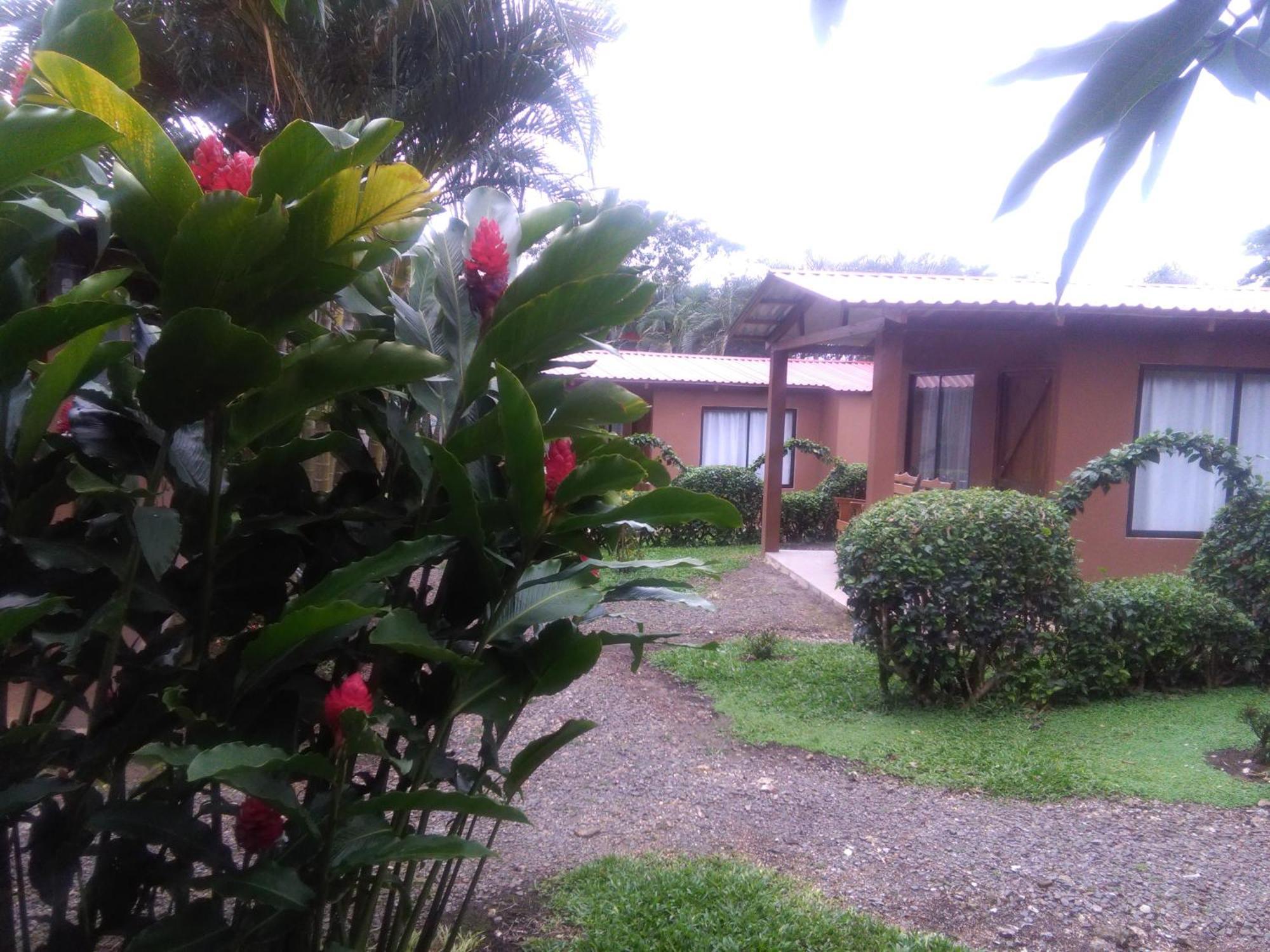 Slow Travel Lodge Upala エクステリア 写真